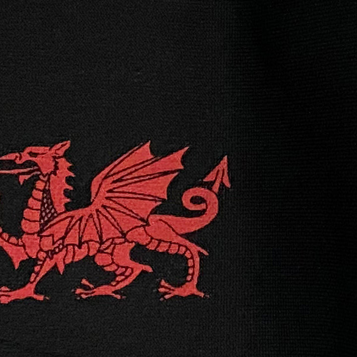 Black with Red Dragon Printed Face Mask