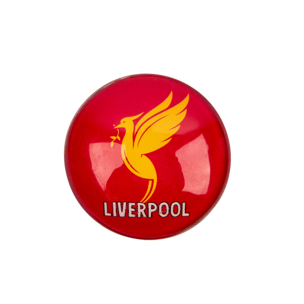Liverpool Liver Bird Crystal Magnet