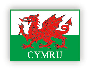 Cymru Dragon Flag Pin Badge