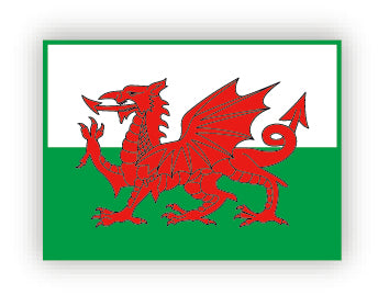 Dragon Welsh Flag Pin Badge