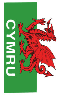 Cymru Dragon Medium Oblong Sticker