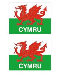 Cymru Dragon X 2 Mini Oblong Sticker