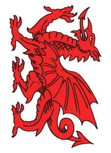 Dragon White Background Oblong Sticker