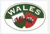 Wales Dragon/Feathers Oval Sticker